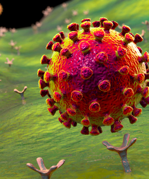 Ученые выяснили, почему новым коронавирусом так легко заразиться