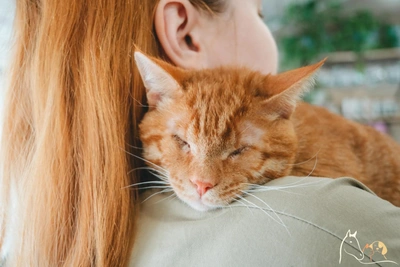 Кот Кротик без глаз нашел дом в Нижнем Новгороде