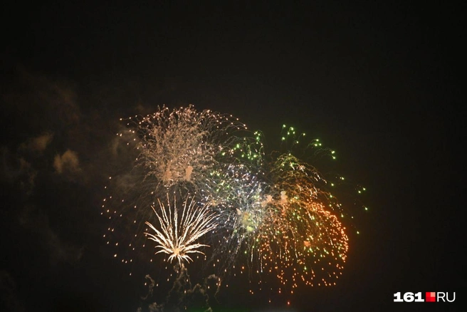 Источник: Евгений Вдовин / 161.RU