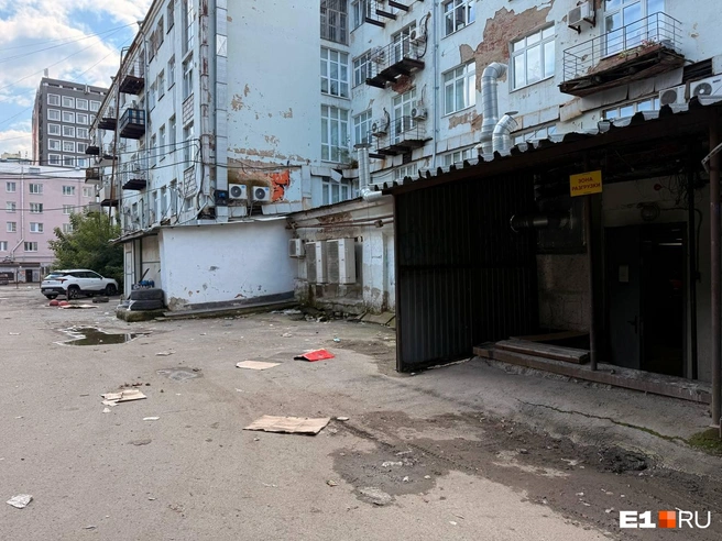 Из-за ветра мусор разносится по всему двору | Источник: Дарья Костомина / E1.RU