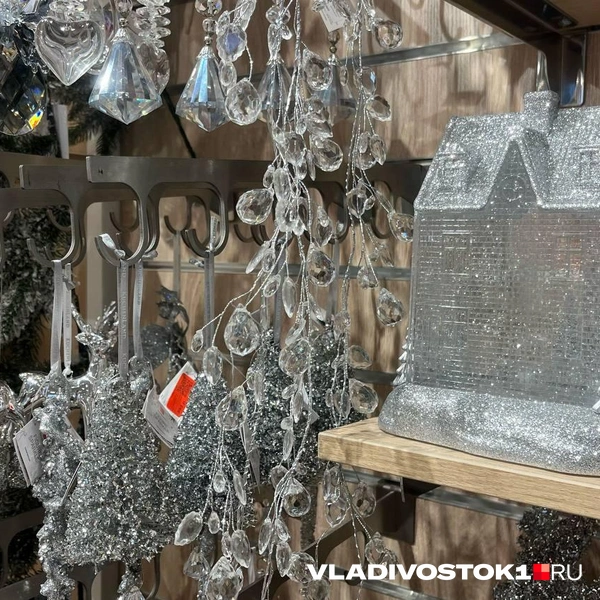 Источник: Елена Буйвол / VLADIVOSTOK1.RU