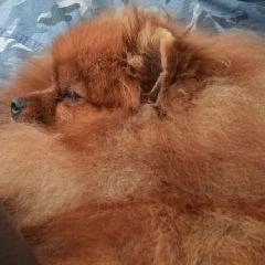 Рассматривается вопрос о возможном привлечении мужчины к уголовной ответственности | Источник: www.city-n.ru