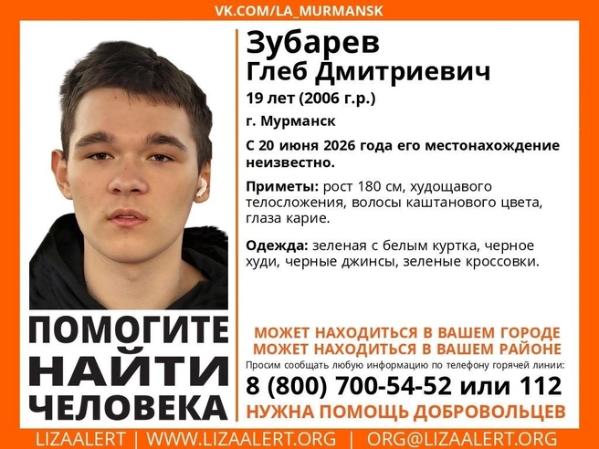 Источник: поисковый отряд «ЛизаАлерт» Мурманской области / Vk.com