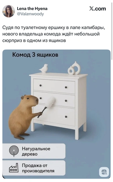 Источник: X (Twitter)