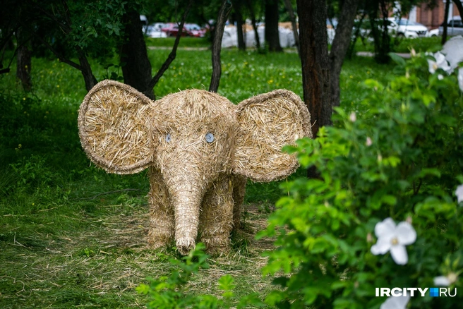 В кустах притаился соломенный слоненок | Источник: Ксения Филимонова / «ИрСити»
