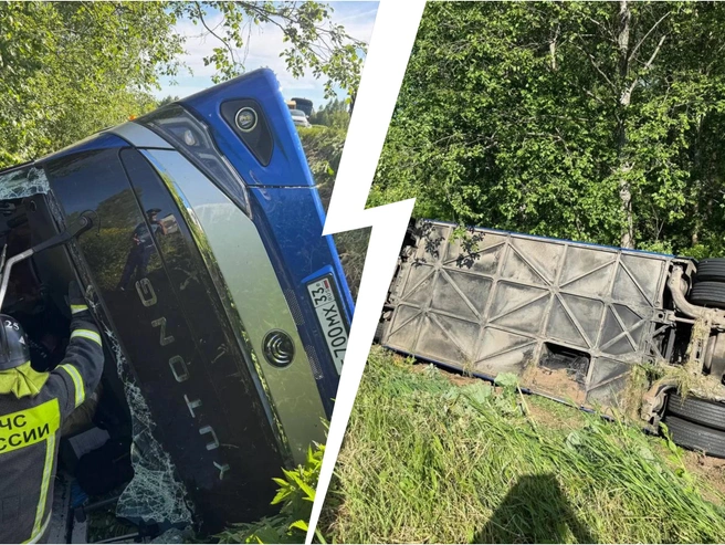 На снимках запечатлено место опрокидывания автобуса с туристами в Угличском районе | Источник: прокуратура Ярославской области