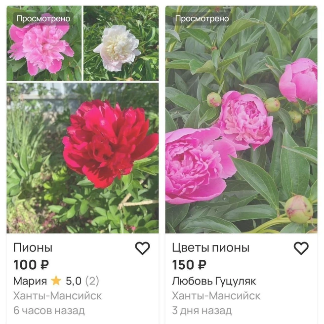 Если хотите сэкономить, то вам прямой путь к дачникам | Источник: Avito.ru