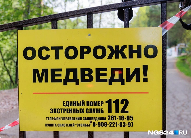 Не напугаться или не напугать? | Источник: Мария Ленц / NGS24.RU