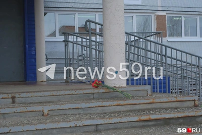 Минпросвещения направило спецкомиссию в Прикамье после гибели учительницы