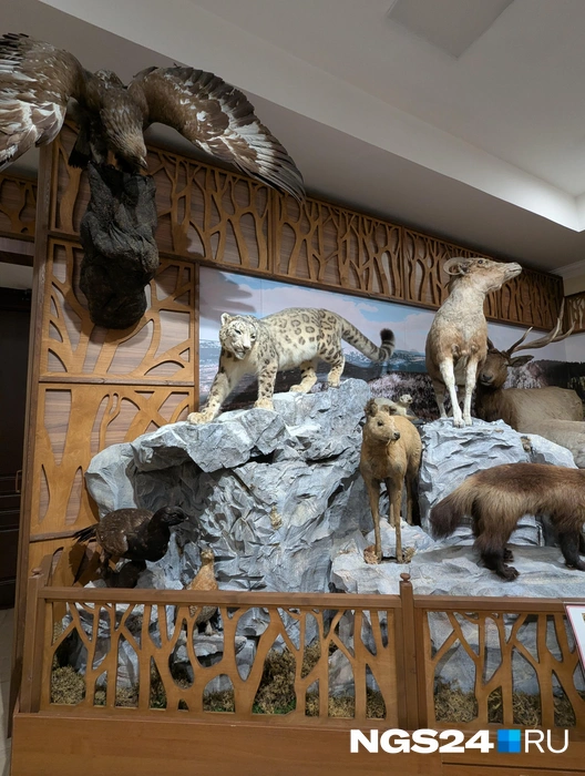 Компанию ей составили другие обитатели края | Источник: Мария Ленц / NGS24.RU