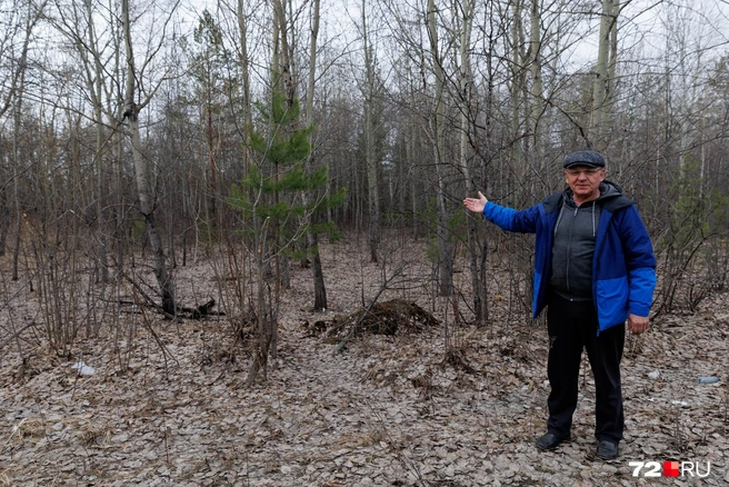 Чем это не лес? | Источник: Ирина Шарова / 72.RU