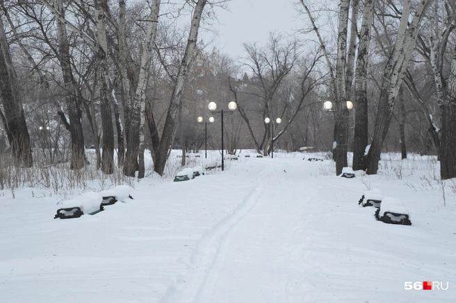 Тропинка, ведущая к реке | Источник: Анастасия Баринова / 56.RU