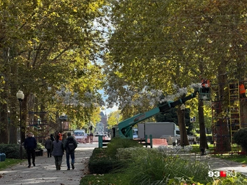 Бульвар будут перекрывать | Источник: Дарья Паращенко / 93.RU