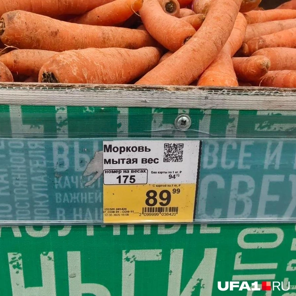Источник: Булат Салихов / UFA1.RU