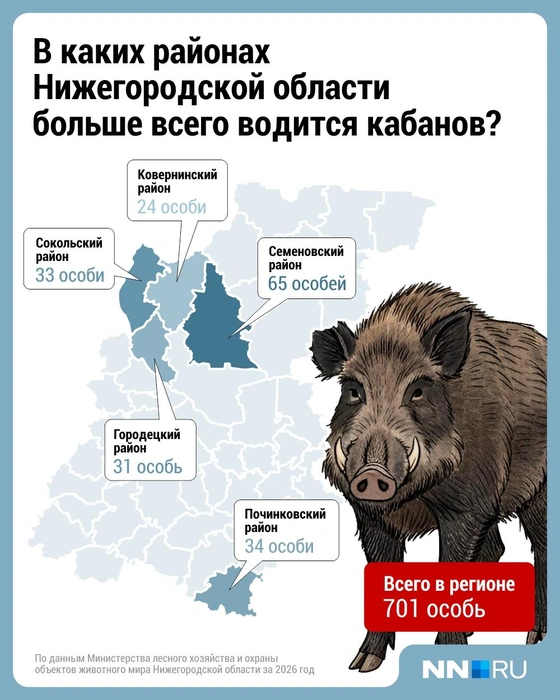 Источник: Городские медиа