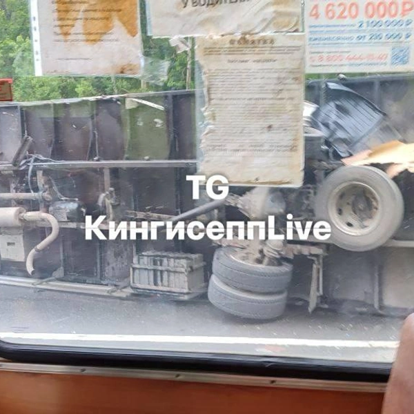 Источник: Кингисепп | Live / Телеграм