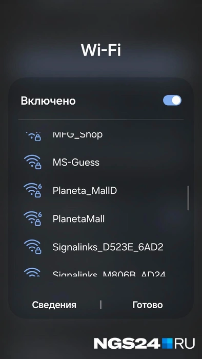 Пароль, разумеется, никто не сказал | Источник: Татьяна Зарва / NGS24.RU