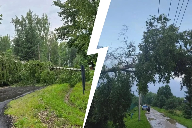 В Ярославской области после грозы в четырех округах пропали электричество | Источник: пресс-служба «Россети Центр» — «Ярэнерго»