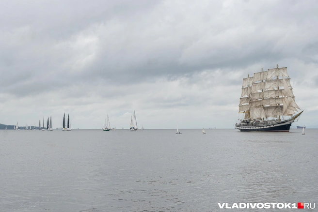 Источник: Елена Буйвол / VLADIVOSTOK1.RU