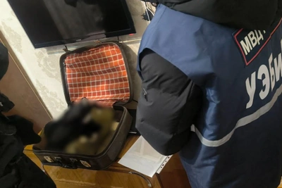 Чиновник задержан за мошенничество в Верхнеуральском районе