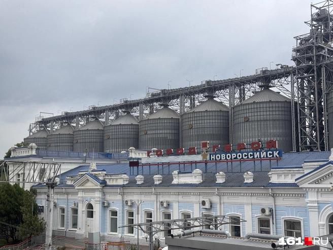 Терминал в Новороссийске | Источник: Ирина Бабичева / 161.RU