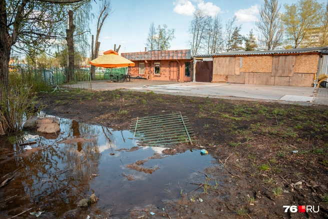 А это виды места, где стояло кафе «Много рыбы». Его здание признали самовольно возведенным, зато пустырь здесь теперь законный | Источник: Александр Куренной / 76.RU