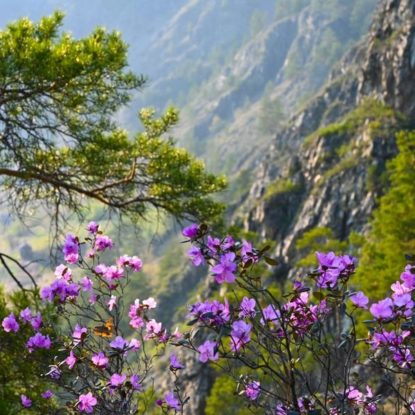 Источник: Shutterstock/Fotodom.ru