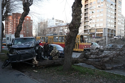 Lexus снес дерево на Московской: видео аварии