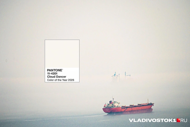 Источник: Елена Буйвол / VLADIVOSTOK1.RU