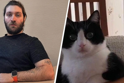 Житель Красноярска пародирует кота и собирает сотни тысяч просмотров