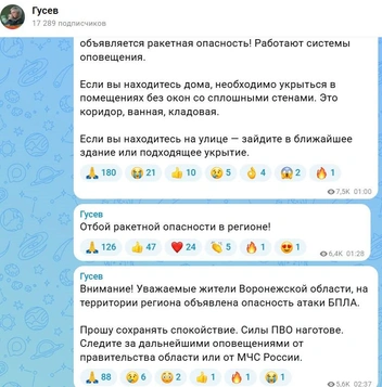 Источник: max.ru/gusev_36