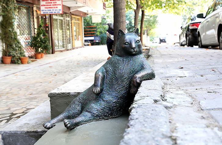 В Стамбуле установили памятник коту-мему