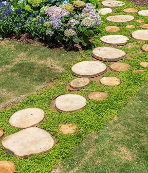 Терапия через природу: 4 принципа создания сада, который успокаивает