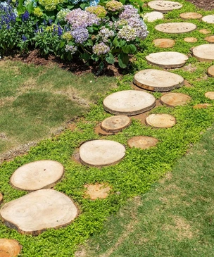 Терапия через природу: 4 принципа создания сада, который успокаивает