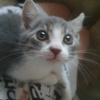 userpic__Ната