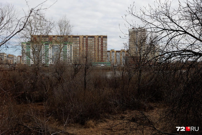 Домов строят всё больше и больше | Источник: Ирина Шарова / 72.RU
