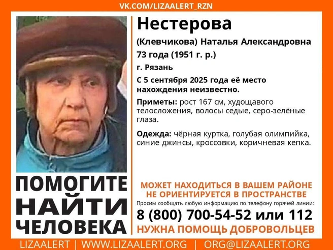 Источник: Соцсети ПСО «ЛизаАлерт».