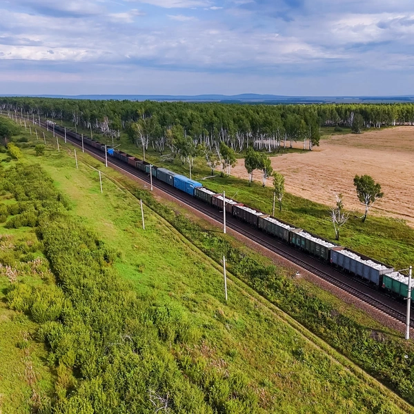 Источник: PavelChigir/Shutterstock/Fotodom.ru