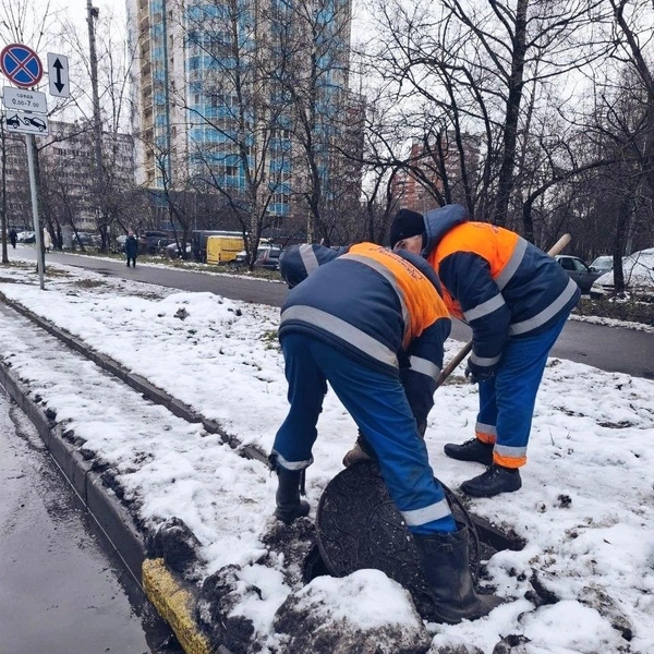 Источник: Комитет по благоустройству Петербурга