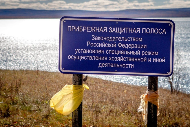 Источник: Анна Хвостова