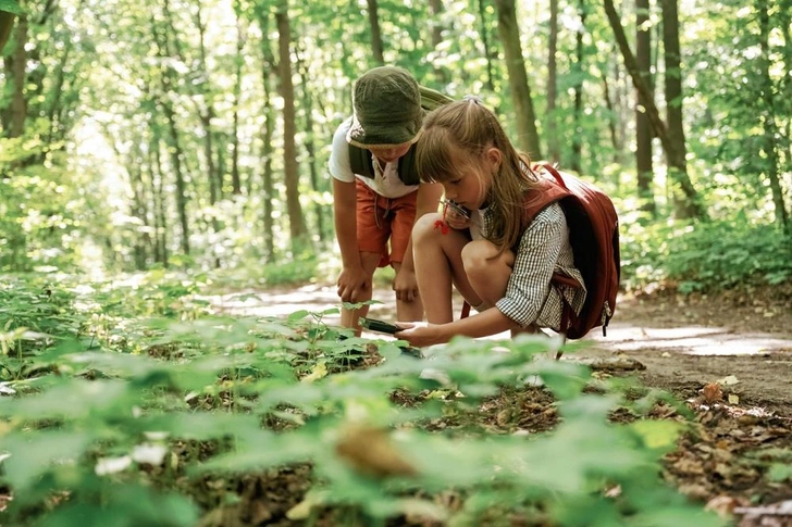 Что делать, если укусил клещ: алгоритм действий | Источник: Standret/Shutterstock/Fotodom.ru