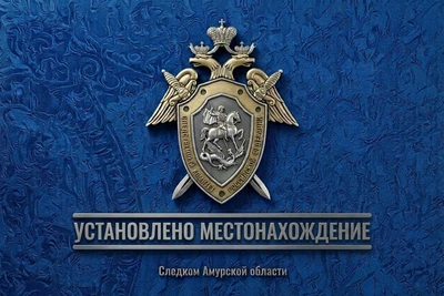 Пропавшую женщину с пятью детьми нашли в Благовещенске