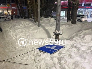 Еще одна жертва сильного ветра | Источник: читатель 59.RU