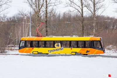 В Ярославле нашли перевозчика для трамваев за 24 млн в месяц