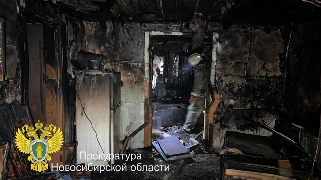 СК России проводит проверку | Источник: Прокуратура Новосибирской области / Телеграм