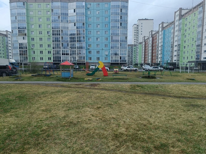 Дом стоит в низине | Источник: Предоставила Елена