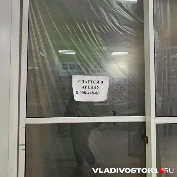 Источник: Елена Буйвол / VLADIVOSTOK1.RU