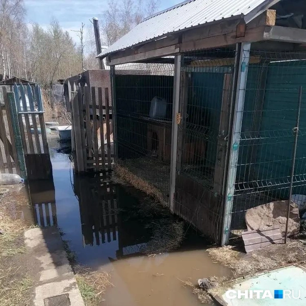 Источник: очевидец