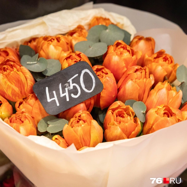 Есть варианты дешевле&nbsp;— 4450 рублей | Источник: Артем Бауман / 76.RU