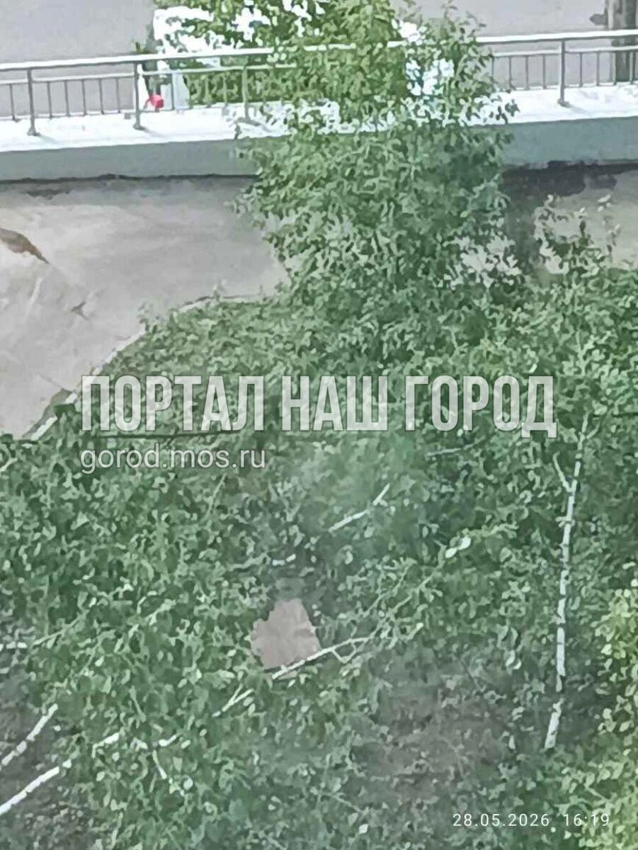 Открытый люк закрыли деревяшкой | Источник: gorod.mos.ru